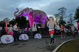 BIB: 
                            <button type="button" onclick="openModal(26529527)" class="btn btn-primary btn-sm float-right btn-popup" data-toggle="modal" data-target=".modal-high-quality">
                        <i class="fas fa-shopping-cart"></i> Add to Cart
                    </button>
                                            <button type="button" onclick="isThisMe(26529527, true)" class="btn btn-success btn-sm float-right btn-popup btn-isme hidden" data-toggle="tooltip" data-placement="bottom" title="นี่คือรูปของคุณใช่ไหม คลิกที่นี่เพื่อเอาเข้าอัลบั้ม">
                        <i class="fas fa-plus"></i> Add to album
                    </button>
                    <button type="button" onclick="isThisMe(26529527, false)" class="btn btn-warning btn-sm float-right btn-popup btn-isnotme hidden">
                        <i class="fas fa-ban"></i> Remove from album
                    </button>